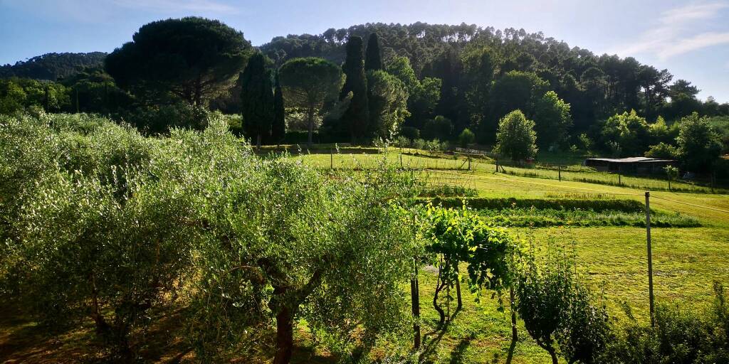 Bottone La tua pubblicità sul giornale