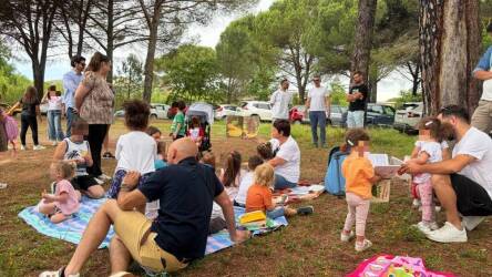 Fili di comunità