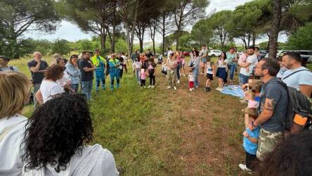 Fili di comunità