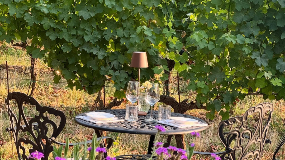 Cena davanti alle vigne di Fattoria Sardi