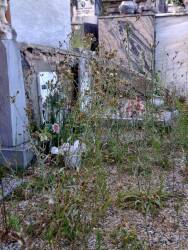 Cimitero di Sant’Andrea di Compito
