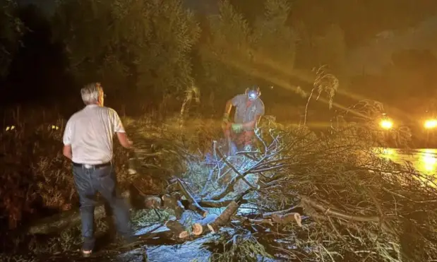 Il maltempo si abbatte duramente sulla Piana: lavoro straordinario per la protezione civile tra alberi abbattuti e blackout