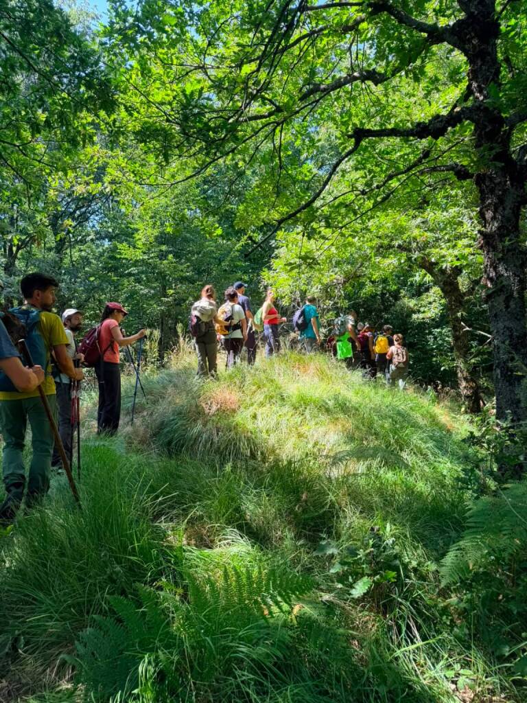 Terza Boveglia, Monte Battifolle, Officina Futura, trekking, Altopiani