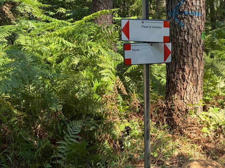 Cartelli Rete Escursionistica Toscana verso Pieve di Compito e Ruota