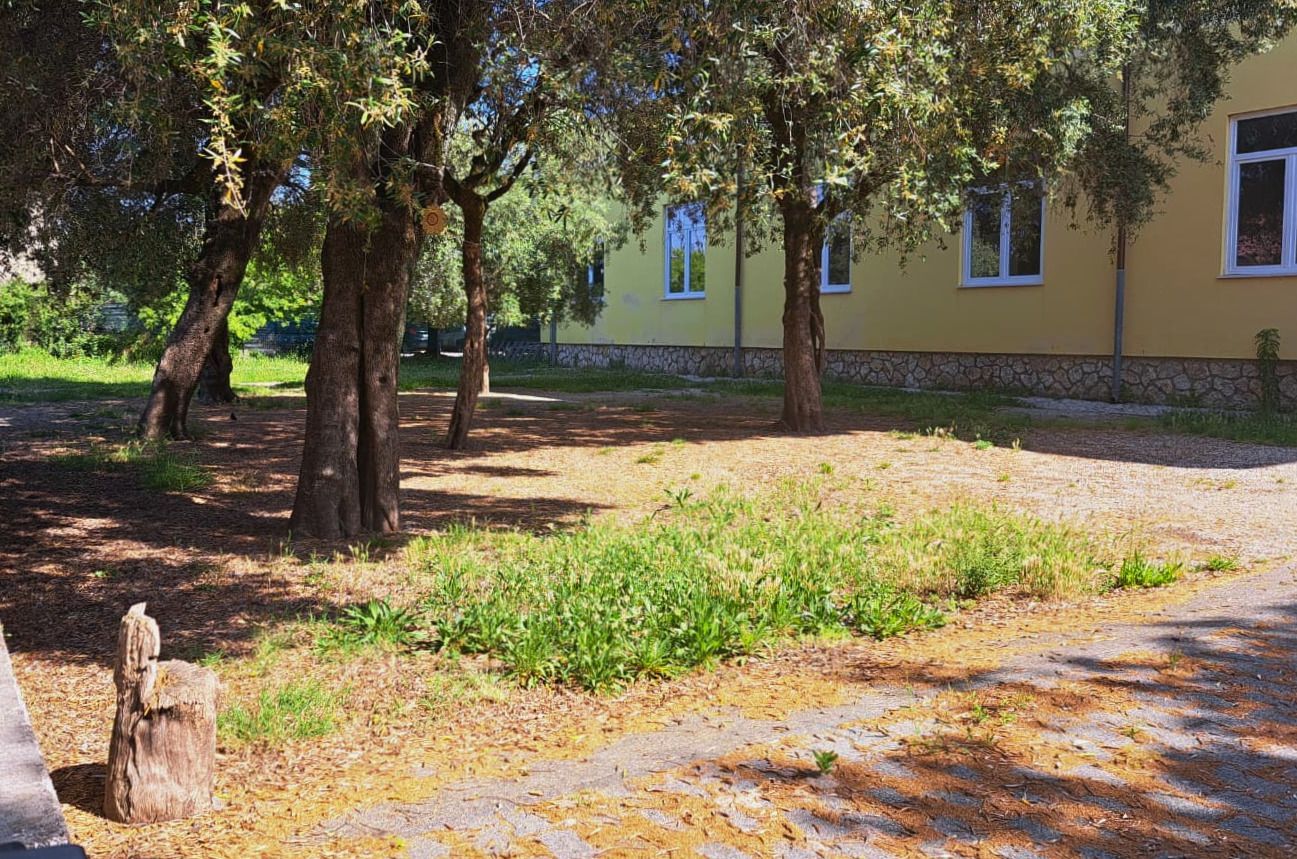 Ex scuola Rigacci al Crociale di Pietrasanta: in autunno un parcheggio da 10 posti