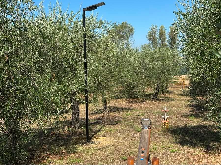 Il parco del Castellare a Soianella, Terricciola, dopo il recupero