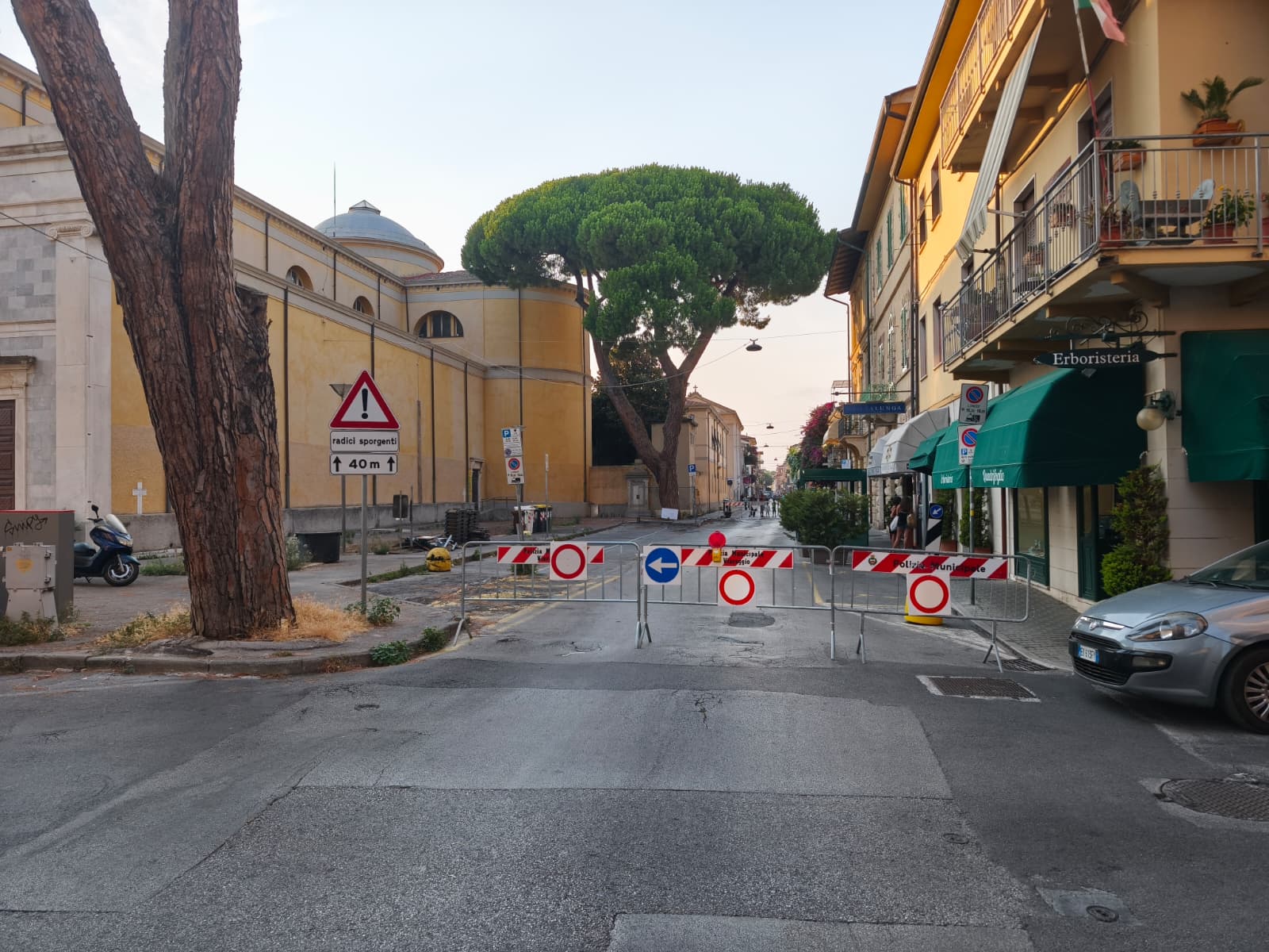 Via Sant’Andrea a Viareggio: raccolta firme per pedonalizzare il tratto e tutelare il pino storico