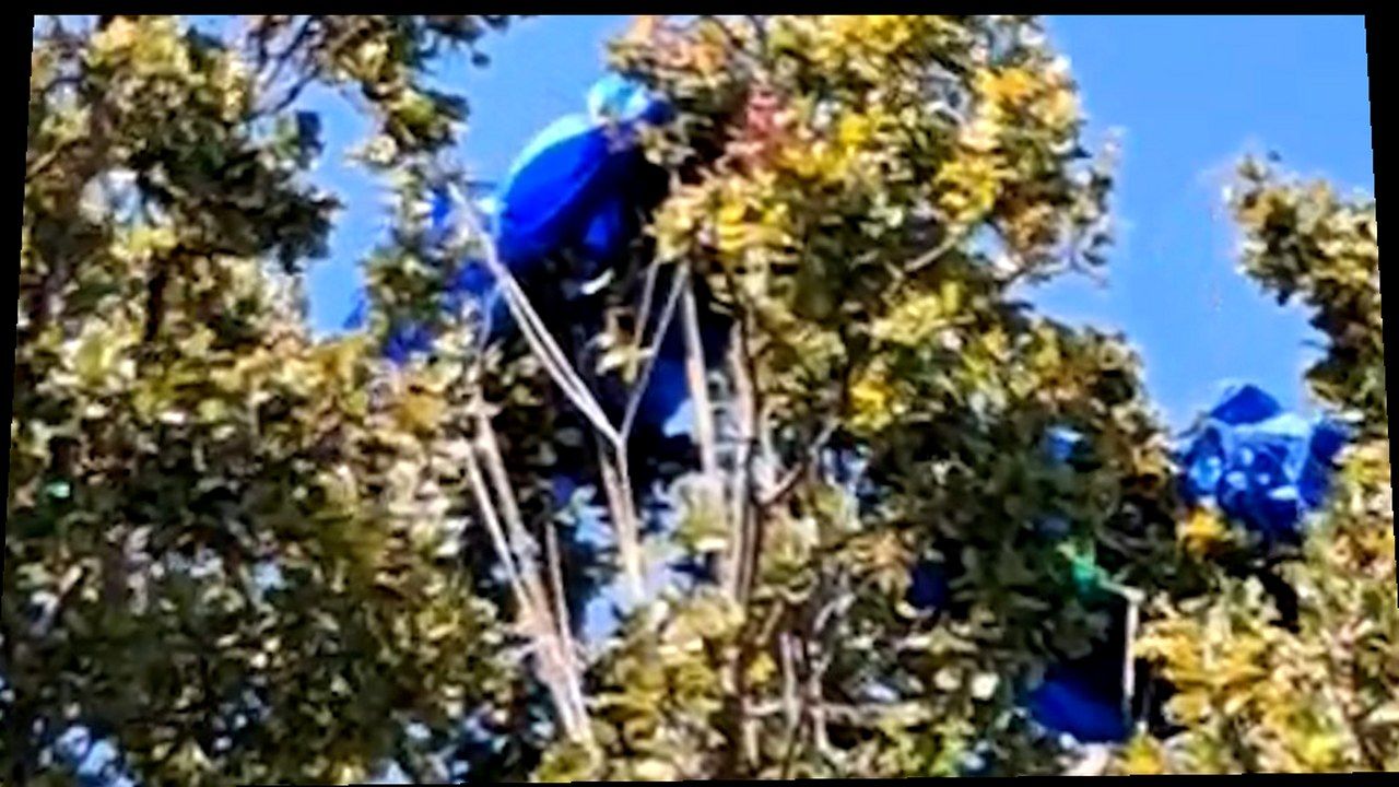 Paracadute aperto in cielo, immagine di contesto per l’incidente a Capannori