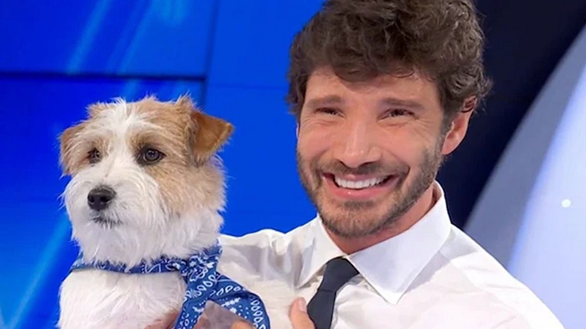 Stefano De Martino e Tommasino ad Affari Tuoi — inquadratura ricostruita