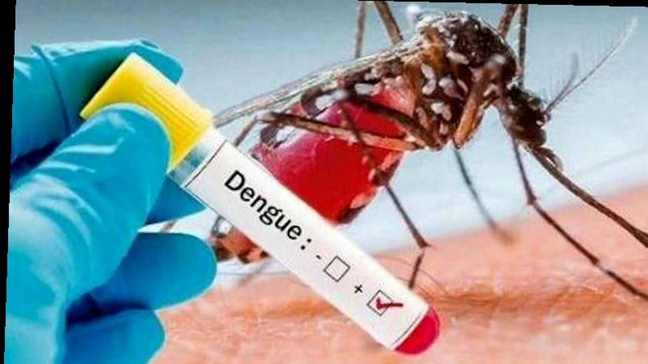 Disinfestazione / dengue — stessa foto fonte, nuova angolazione e inquadratura (nessun volto inventato)