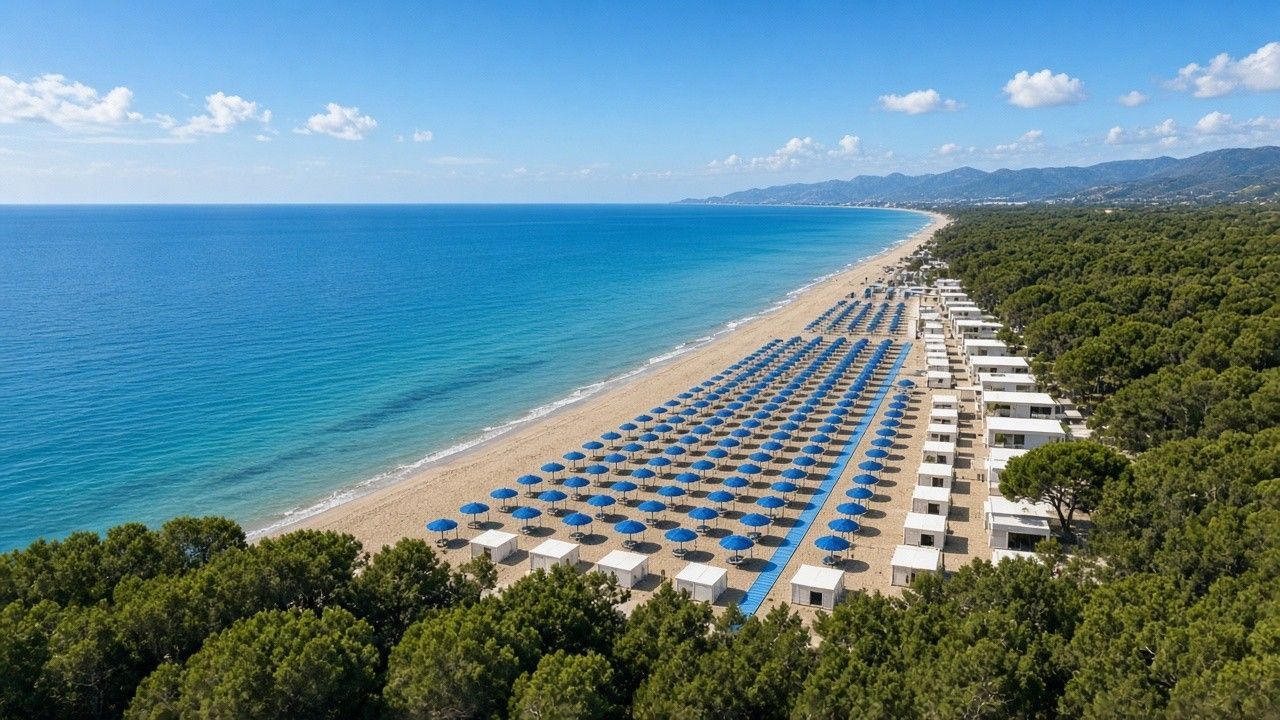 Litorale di Pisa: spiaggia, ombrelloni e pineta