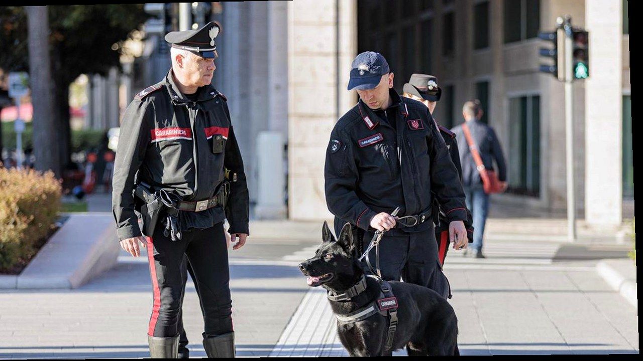Carabinieri a Pisa dopo l’aggressione alla guardia alla Conad di via Cottolengo