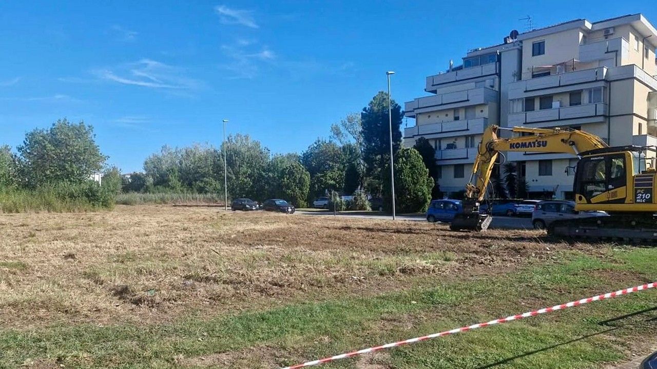 Escavatore e tagli perimetrali al Bosco del Sanguigno a Cisanello, Pisa