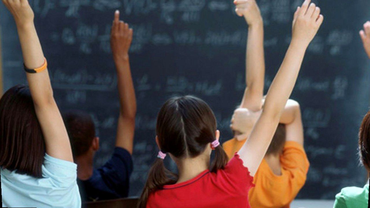 Classe scolastica, riferimento ai tagli di assistenza specialistica a Pisa