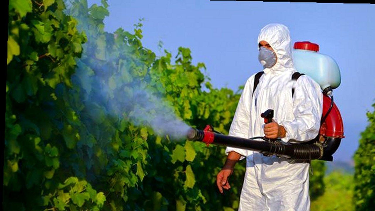 Disinfestazione zanzare in Toscana (foto fonte, nuova angolazione)