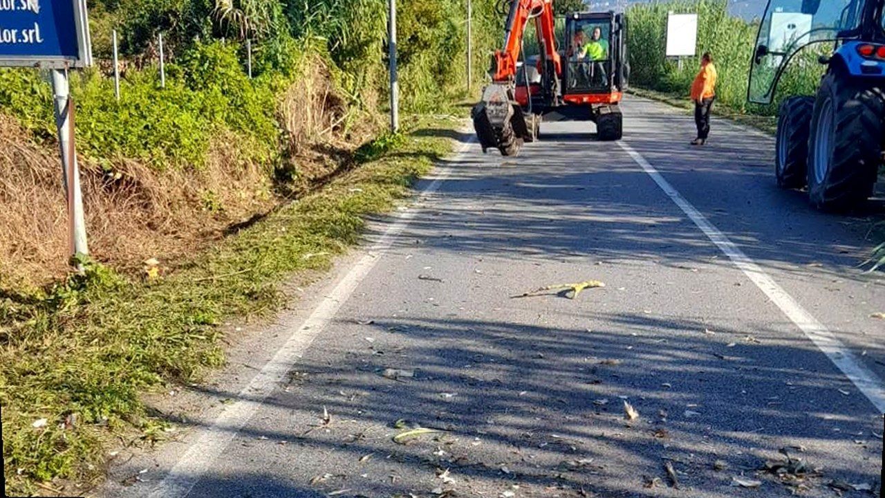 Viareggio: lavori di manutenzione sui fossi del reticolo idraulico minore comunale