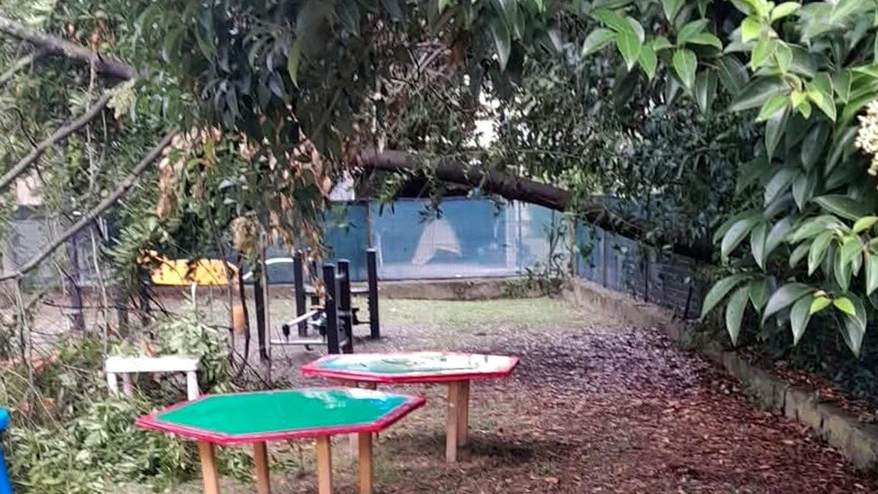 Vecchiano Avane: albero caduto nel giardino della scuola materna, tavoli e scivolo sullo sfondo