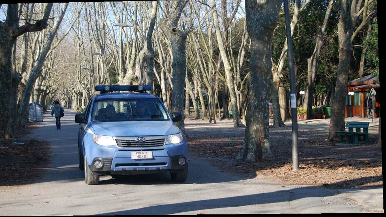Viareggio Pineta di Ponente, controlli antidroga della polizia nel sottobosco