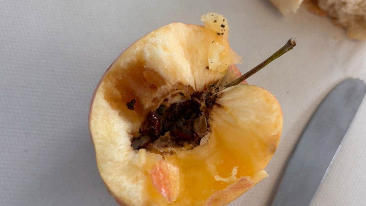 Viareggio: il panierino scolastico contestato nel giorno dello sciopero ICare, con frutta e pane fotografati dai genitori