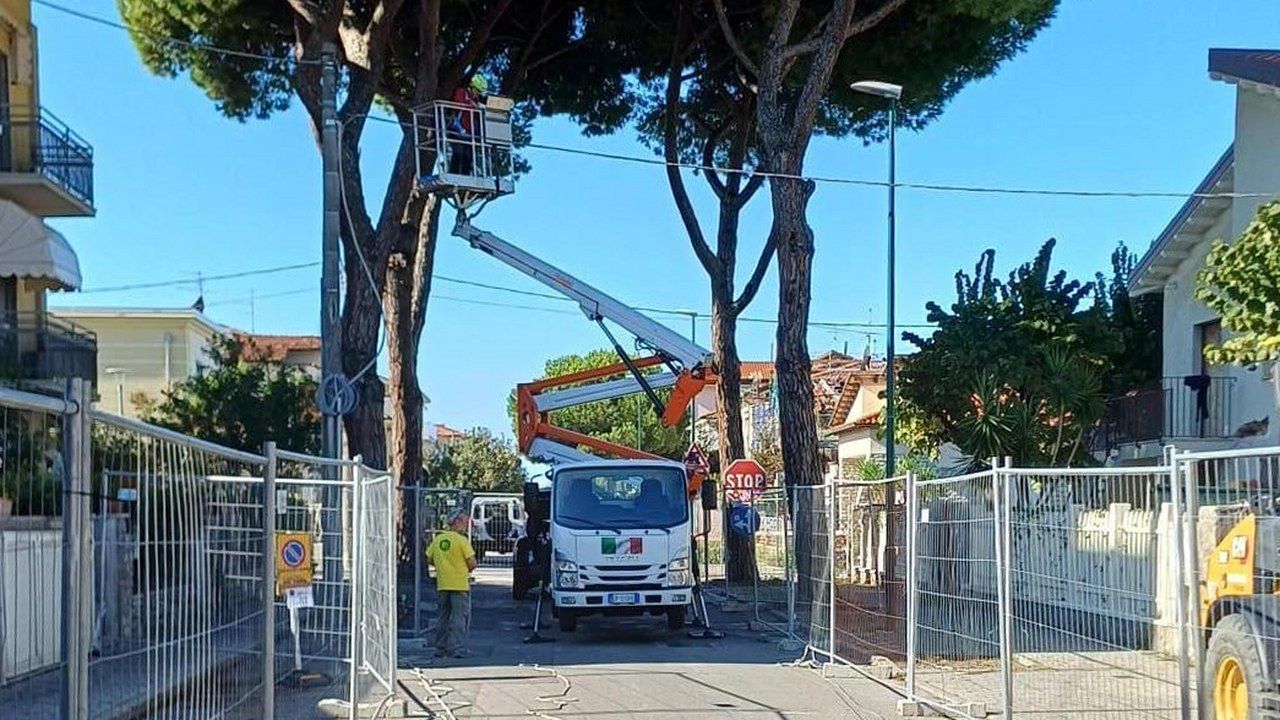 Il cestello al lavoro tra i pini di via Vittorio Veneto a Lido di Camaiore, dove il cantiere del Comune è contestato dagli ambientalisti