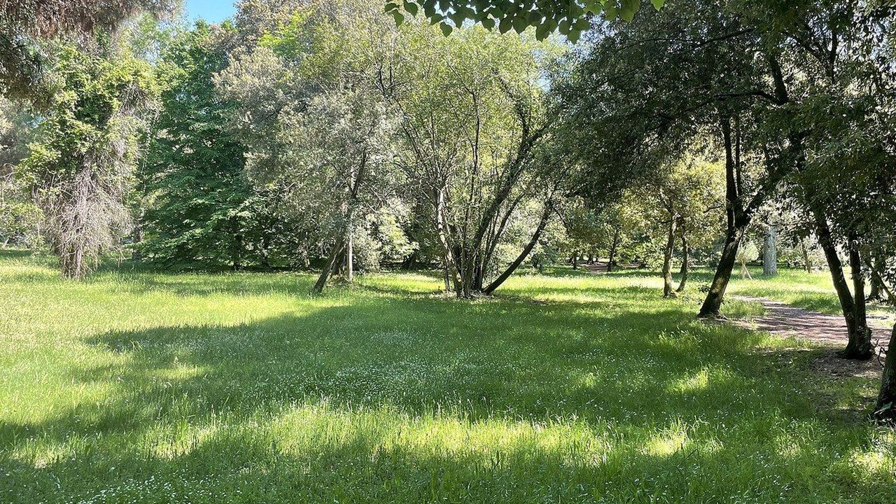 Il parco della Pineta di Ponente a Viareggio: pinete e Viale dei Tigli chiusi per l'allerta gialla di martedì 20 ottobre