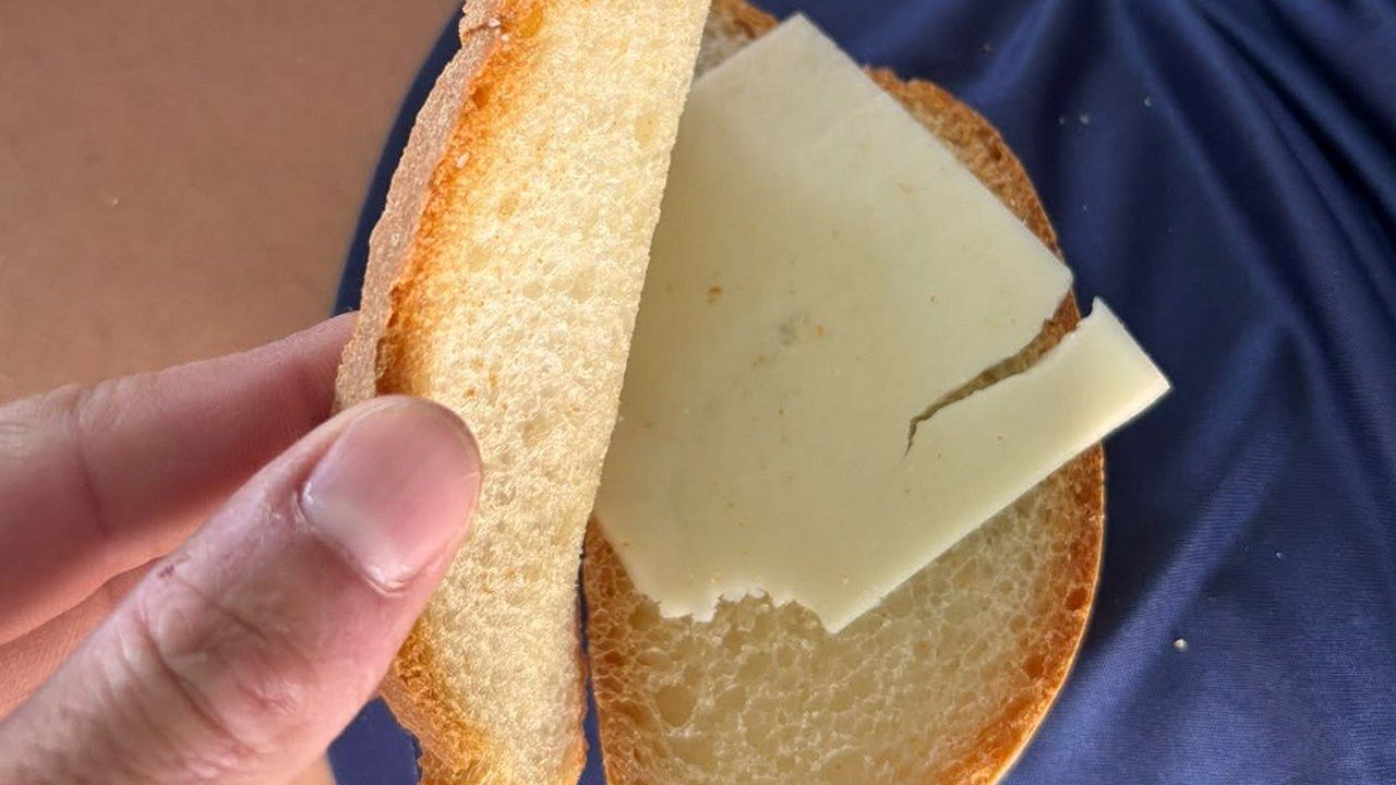 Il panino con una fetta di formaggio servito ai bambini durante lo sciopero della mensa a Viareggio