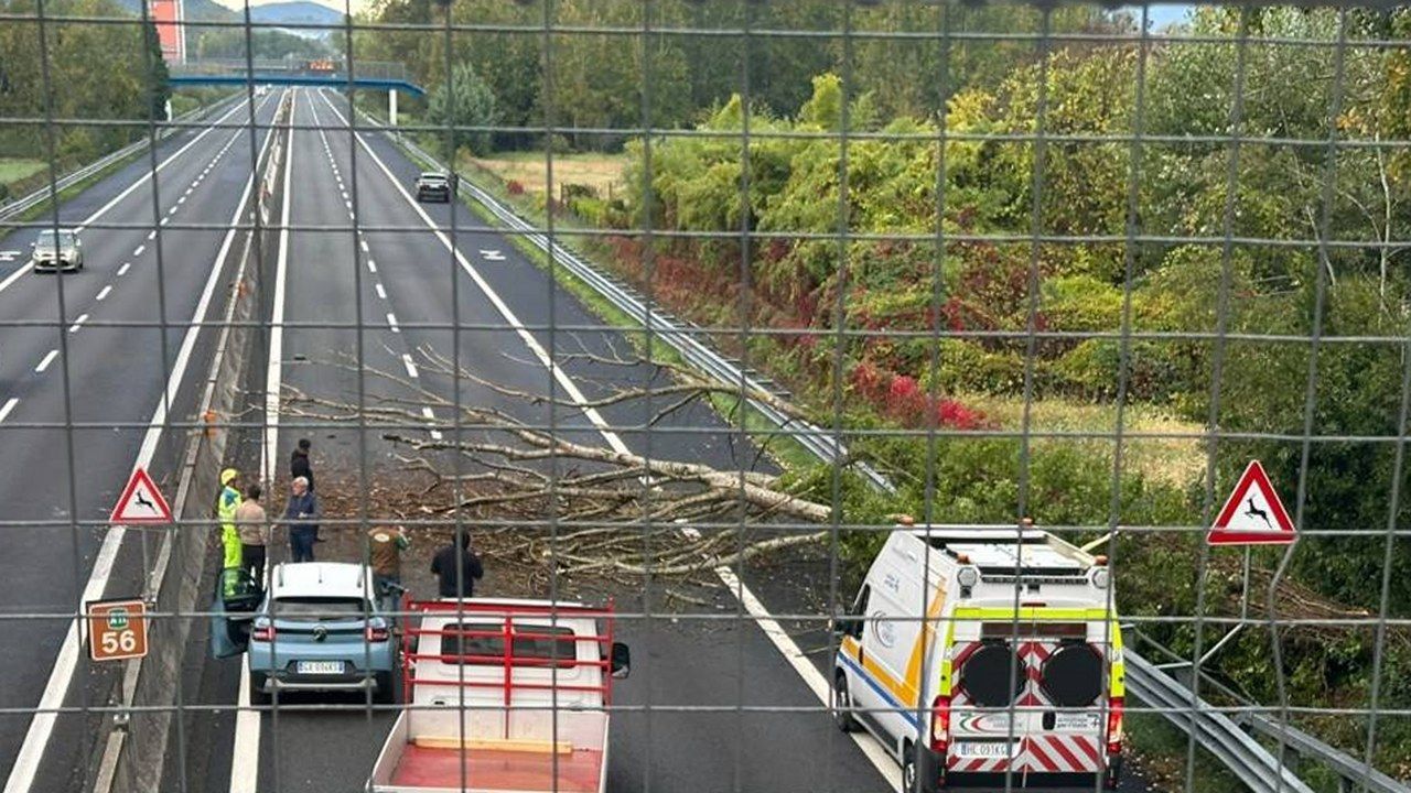 L'albero caduto sulla carreggiata dell'A11 poco prima dello svincolo di Lucca Est, con i mezzi di soccorso sul posto