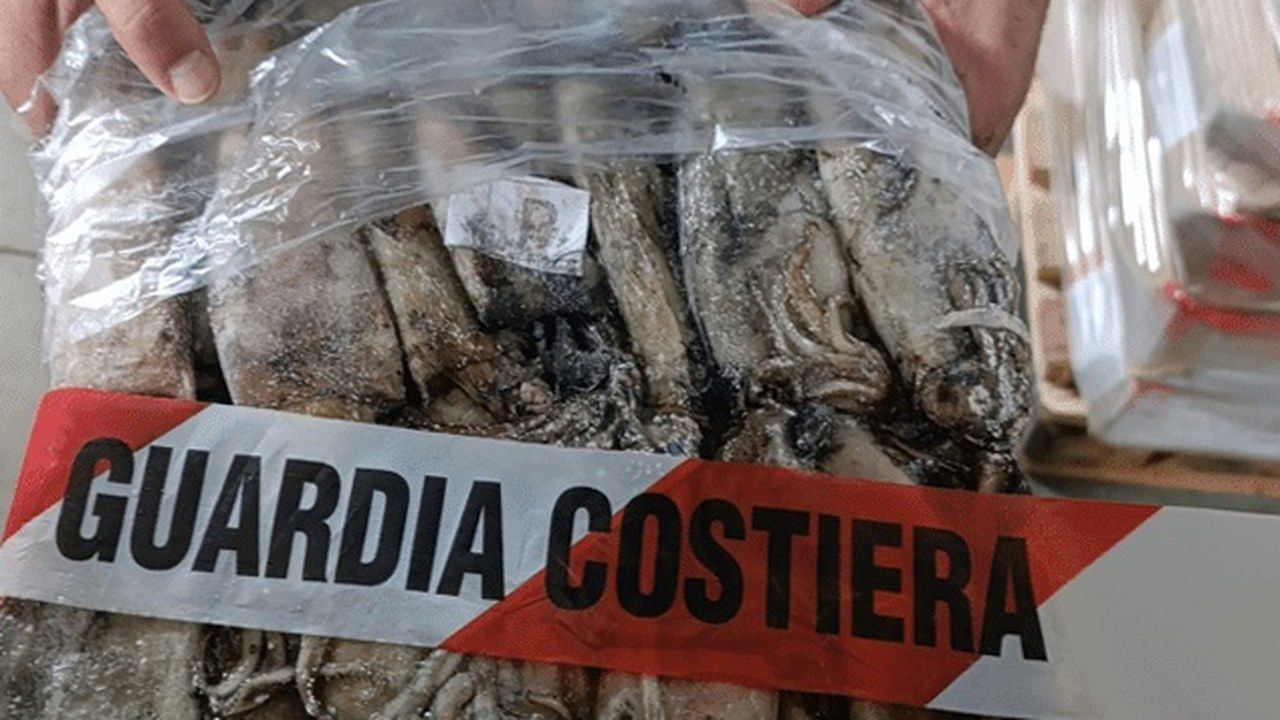 Sacchi di calamari sotto sequestro con il nastro della Guardia Costiera durante l'operazione Filiera Blu